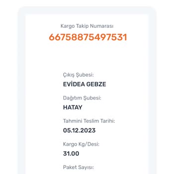 Horoz Lojistik Hatay'da Kargo Teslimat Gecikmesi