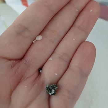 BİM Marketten Alınan Toz Şekerde Bilinmeyen Nesneler Bulundu