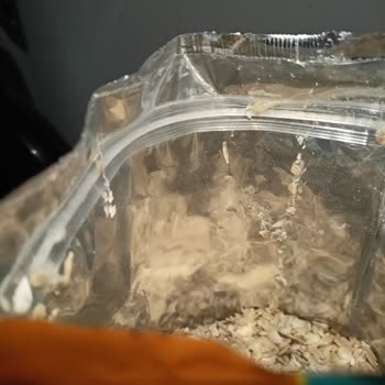 A101 Burch Marka Yulaf Ezmesinde Güveler