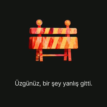 Wise (transferwise) Hesap Bilgilerine Ulaşamıyorum