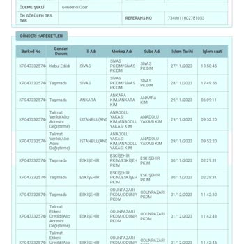PTT Kargo Teslimat Konusunda Aşırı Yavaş