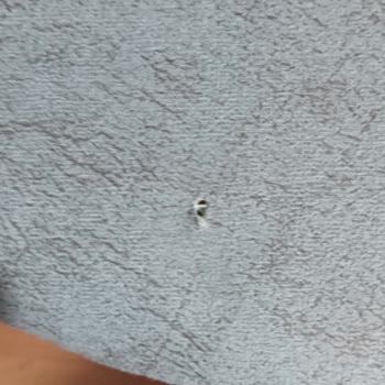 Evkur Alışveriş Ayıplı Ürün Sandalye Delik Masa Çizik