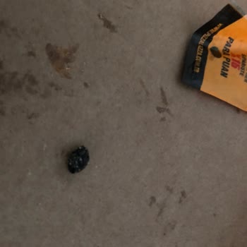 PizzaLazza Pizza Siparişi Diş Kırılmasına Neden Oldu