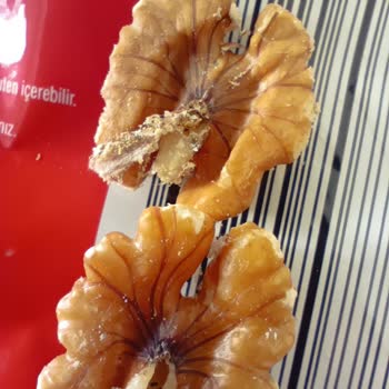 Amigo Ceviz İçi Kurtlanmış!