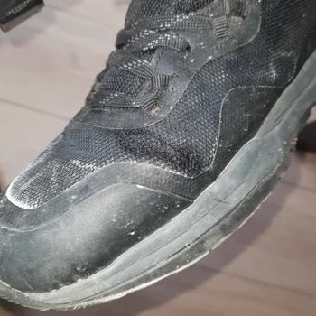 Lumberjack 1 Yıllık Botun İki Teki De Aynı Yerden Açıldı