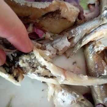 BİM Dondurulmuş Ve Temizlenmiş Sardalya Temizlenmemiş Çıktı