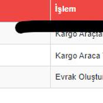 Sürat Kargo Kargom Maltepe Aktarmada Hareketsiz Gözüküyor.