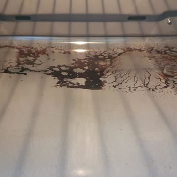 Bosch Fırın Temizleme Sorunu Ve Servis Hüsranı