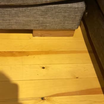 Palmiye Sultan Bungalov Hakkında Şikayet