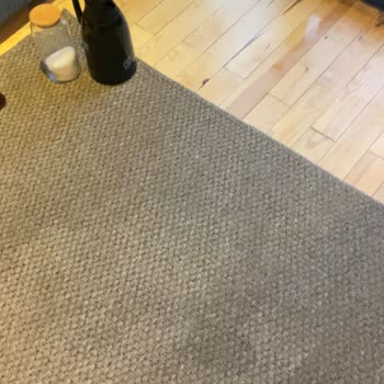 Palmiye Sultan Bungalov Hakkında Şikayet