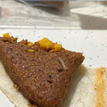 Üstade Çiğ Köfte Kurt Çıktı Bundan Daha Önemli Ne Olabilir Ki Biz Kurt Mu Yiyeceğiz.