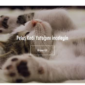 PatiShop (patishop.co) Ürün Teslim Edilmedi, Cevap Verilmiyor, Geri Ödeme Biraz Zor Gözüküyor