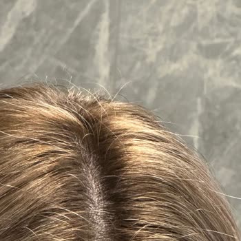 Bobs Etiler Verilen Telafi Sözleri