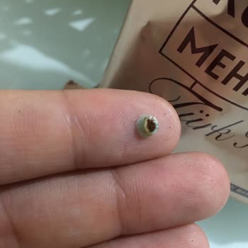 Kurukahveci Mehmet Efendi Türk Kahvesi Paketinde Plastik Parça Bulundu