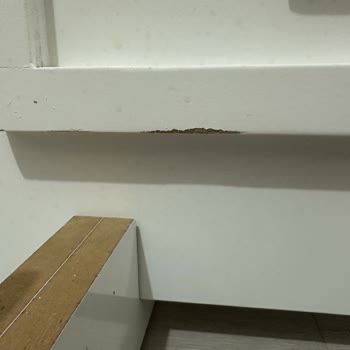 Rüya Tasarım Organizasyon (Konya) İade Almadı Şahsıma İftira Attı!