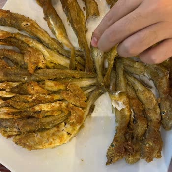 Samsun Büyükşehir Belediyesi Büyükşehir Belediyesi Personel Üslubu Hiç Hoş Değil