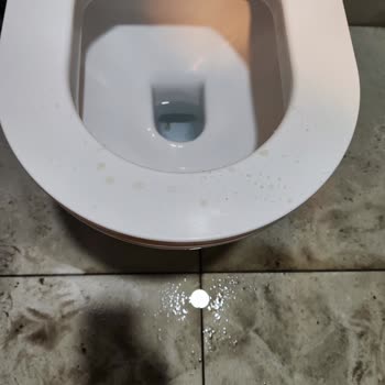 Tavuk Dünyası Lavabo Ve WC De Hijyen Sorunu