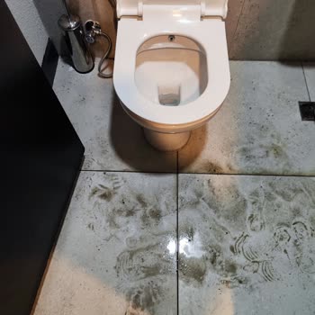 Tavuk Dünyası Lavabo Ve WC De Hijyen Sorunu