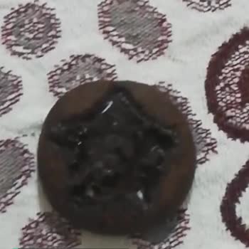 Şölen Bisküvi Kurtlu Çıktı