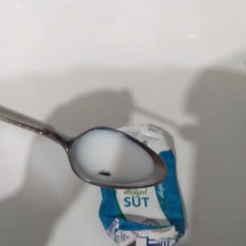 Torku Sütun İçinden Böcek Çıktı