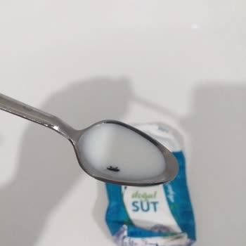 Torku Sütun İçinden Böcek Çıktı