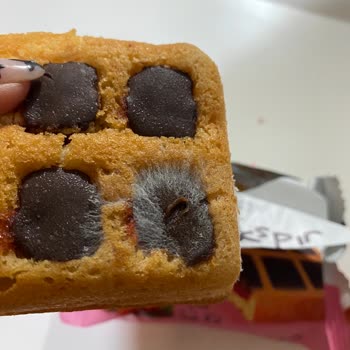 A101 Kekspir Kek Küflenmiş!