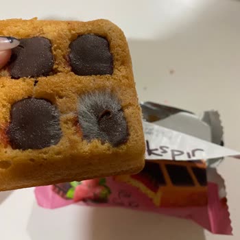 A101 Kekspir Kek Küflenmiş!