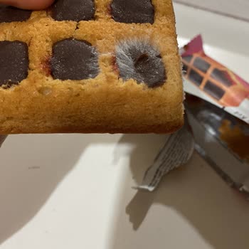 A101 Kekspir Kek Küflenmiş!