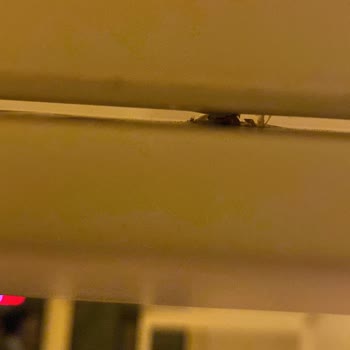 Vivense Montaj Hizmetinde Yaşanan Sorunlar