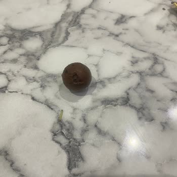 Şölen Çikolataların Kurtlanması