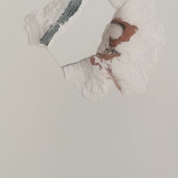 Bosch Davlumbaz Duvara Zarar