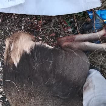 Doğa Koruma Ve Milli Parklar İlgisizlik Ve Alakasızlık