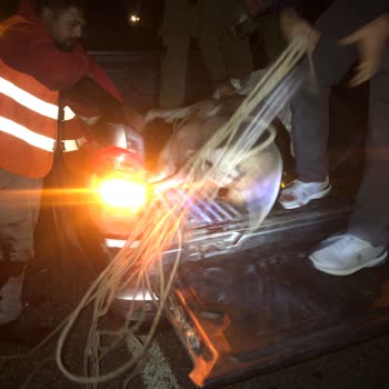 Doğa Koruma Ve Milli Parklar İlgisizlik Ve Alakasızlık
