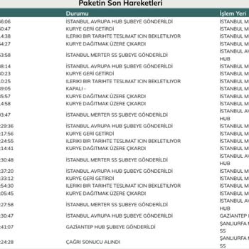 UPS Teslim Edilemeyen Kargo