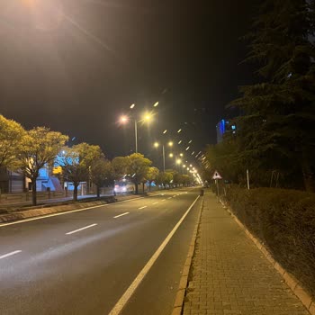 iPhone Kamera Sorunu