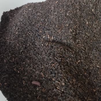 Çaykur Tiryaki Çay Sorunu