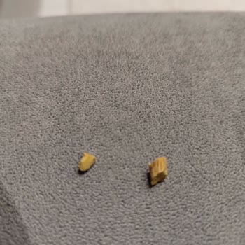 Baklavacı Şemsettin Baklavanın İçimden Çıkan Cisim!