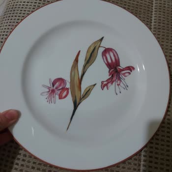 Schafer Tabaklarında Geçmeyen Su Lekeleri