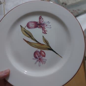 Schafer Tabaklarında Geçmeyen Su Lekeleri