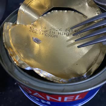 Dardanel Balık Pulları Çıktı