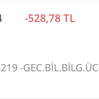 İş Bankası Geç. Bil. Bilg. Üç-Ntr