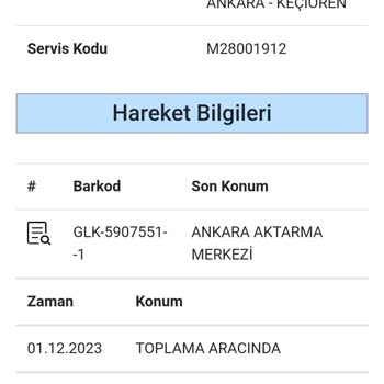 GPS Line Logistic Geciken Teslimat Hakkında