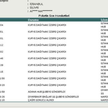 UPS Kargo Teslimat Gecikmesi