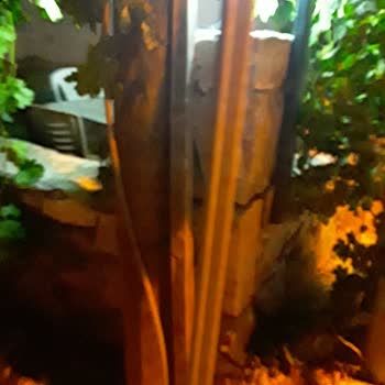 Ortaca Belediyesi Acil Olarak Çürük Direğin Değiştirilmesi