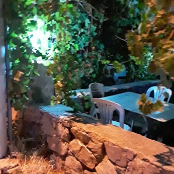 Ortaca Belediyesi Acil Olarak Çürük Direğin Değiştirilmesi