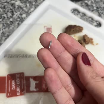 BİM Etinden Çıkan Metal Parça