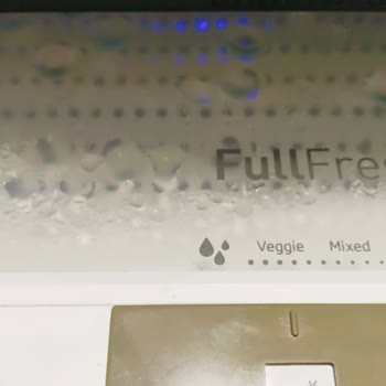 Arçelik Buzdolabı Meyve Ve Sebze Bölümünde Gıdaların Bozulması