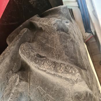 Başak Traktör 2020 Model Traktörün Lastiklerinde Meydana Gelen Aşınma Problemi