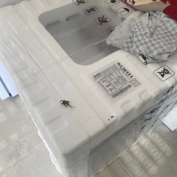 Kumtel Ankastre Set Sinir Krizi Geçireceğim