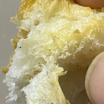 Çetinler Unlu Mamülleri Ekmekten Kıl Çıktı